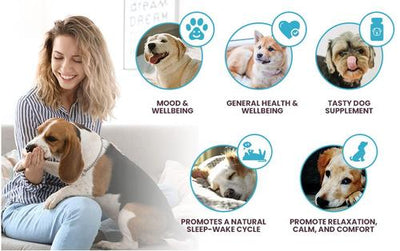 Melatonin Beef Flavor Calming Dog Supplement, 6-mg, 90 count