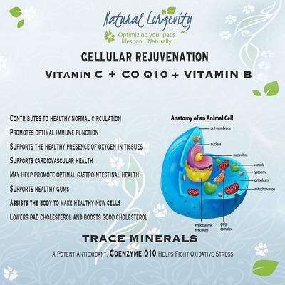 Suplemento líquido de glucosamina Premium Dream para el apoyo articular de perros y gatos, sabor a tocino, 473 ml (16 onzas líquidas)