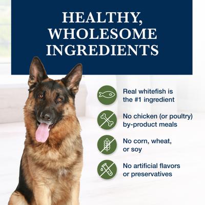 GI Gastrointestinal Support Low Fat Grain-Free Wet Dog Food, 12.5-oz, case of 12