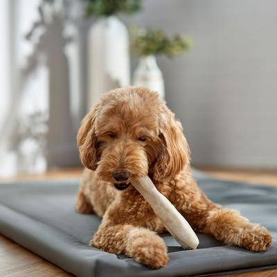 DogLicious 8" Natural Retriever Rolls Rawhide Dog Treats, 2 count