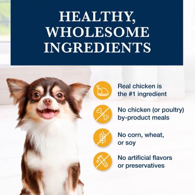 KS Kidney Support Dry Dog Food, 6-lb bag