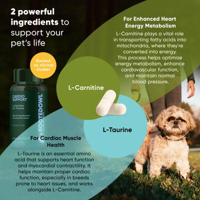 Natural Cardio Support Capsules Supplement with L-Taurine & L-Carnitine for Dogs, 60 count