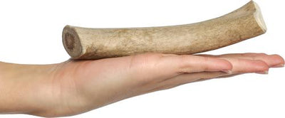 Masticable para perros de asta de alce, fabricado en EE. UU., tamaño mediano: 6,0 - 7,5 pulgadas