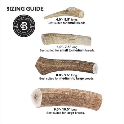 Made in USA Elk Antler Dog Chew, Medium: 6.0 - 7.5-in