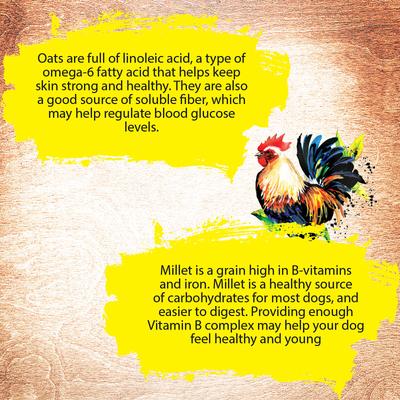 Chicken Recipe Dry Dog Food, 4-lb bag