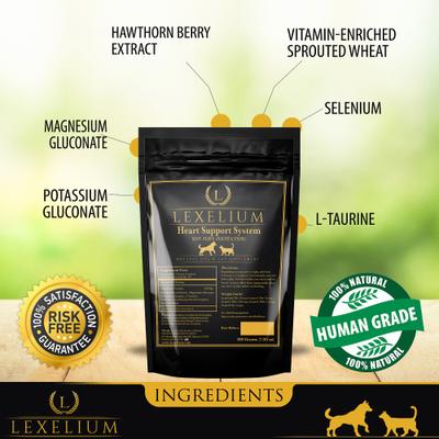 Heart Support System Dog & Cat Supplement, 7-oz bag