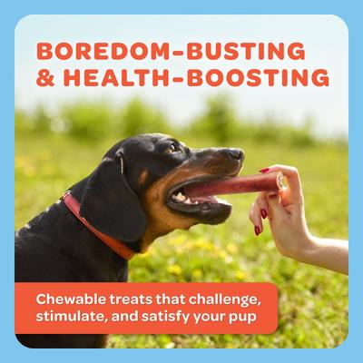 USA Beef Collagen Chews Jumbo Jerky Dog Treats, 5 count, 7.5-oz bag