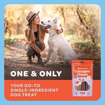 USA Beef Collagen Chews Jumbo Jerky Dog Treats, 5 count, 7.5-oz bag