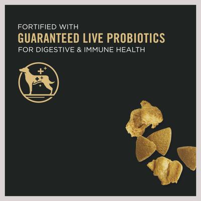 Bundle: Purina Pro Plan Adult Shredded Blend Chicken & Rice Formula Dry Food, 6-lb bag + Canned Dog Food