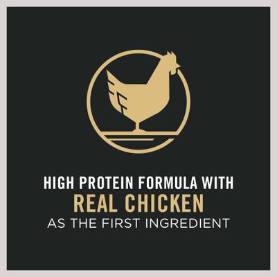 Bundle: Purina Pro Plan Adult Shredded Blend Chicken & Rice Formula Dry Food, 6-lb bag + Canned Dog Food