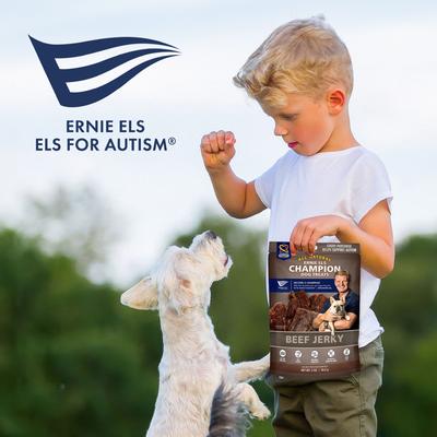 Beef Jerky Dog Treats, 2-oz bag