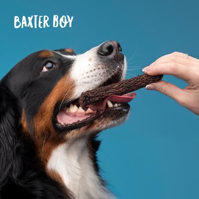 Bully Grain-Free Jerky Dog Treats, 8-oz bag