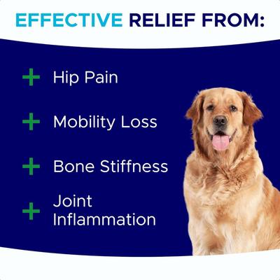 Glucosamine Hip & Joint Chicken Flavored Soft Chew Supplement for Dogs, 120 count