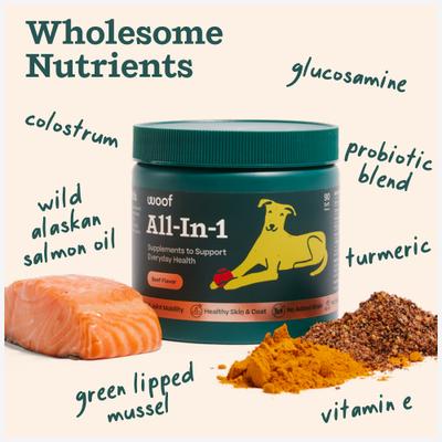 All-In-1 Beef Flavored Chew Vitamin Supplement for Dogs, 90 count