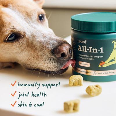 All-In-1 Beef Flavored Chew Vitamin Supplement for Dogs, 90 count