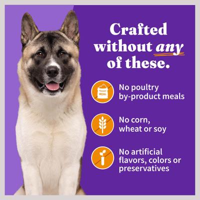 Alimento húmedo para perros mayores Holistic Chicken Recipe, lata de 13.2 oz, paquete de 12