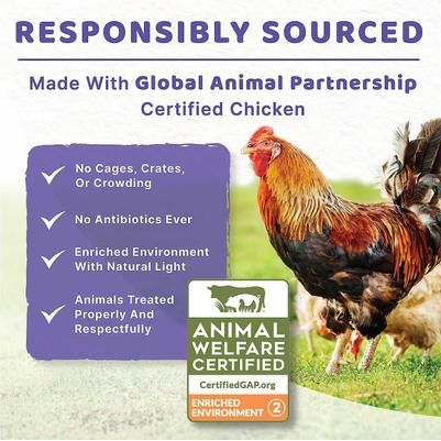 Alimento húmedo para perros mayores Holistic Chicken Recipe, lata de 13.2 oz, paquete de 12