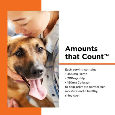 Hemp Peanut Butter & Honey Flavor Skin & Coat Soft Chew Supplement for Adult Dogs, 12.7-oz