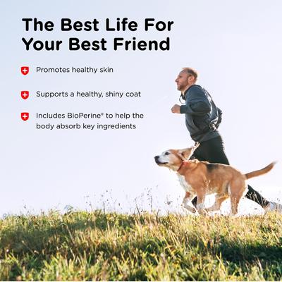 Hemp Peanut Butter & Honey Flavor Skin & Coat Soft Chew Supplement for Adult Dogs, 12.7-oz