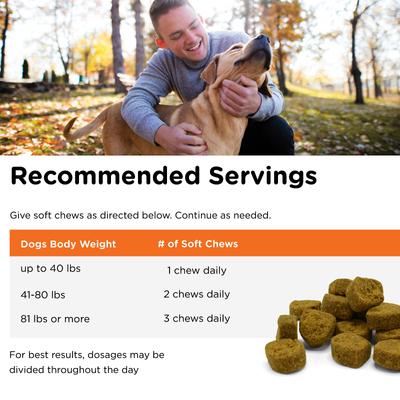 Hemp Peanut Butter & Honey Flavor Skin & Coat Soft Chew Supplement for Adult Dogs, 12.7-oz