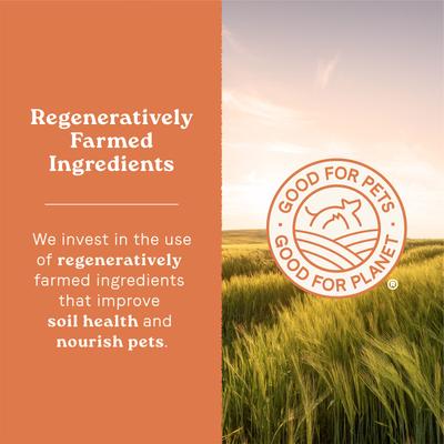 All Life Stages Real Chicken & Ancient Grains Recipe Dry Dog Food, 5-lb bag