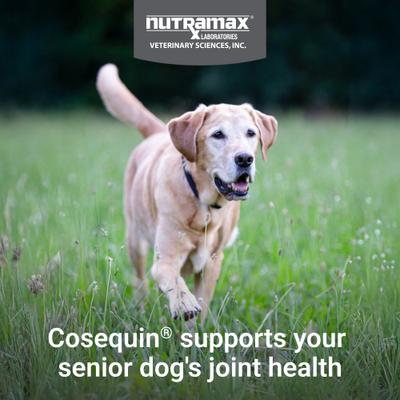 Cosequin Joint Health Supplement with Glucosamine, Chondroitin, MSM, Omega-3s & Beta-Glucan Soft Chews for Senior Dogs, 120 count