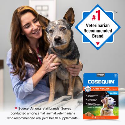 Cosequin Joint Health Supplement with Glucosamine, Chondroitin, MSM, Omega-3s & Beta-Glucan Soft Chews for Senior Dogs, 120 count