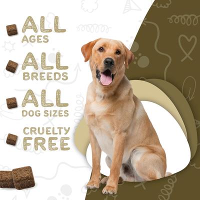 Daily Essentials Adult Multivitamin & Immune System Supporter Soft & Chewy Dog Treats, 120 count