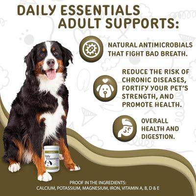 Daily Essentials Adult Multivitamin & Immune System Supporter Soft & Chewy Dog Treats, 120 count