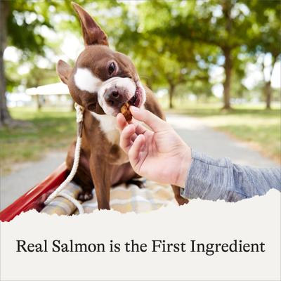 Salmon Recipe Grain-Free Oven Baked Biscuit Dog Treats, 8-oz bag