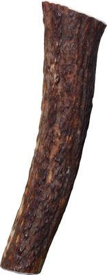 Wild Whole Elk Antler Dog Chew, Medium