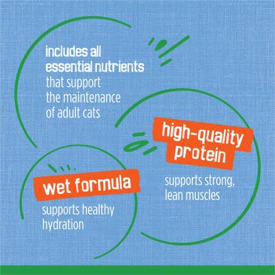 Indoor Flaked Ocean Whitefish Dinner Canned Cat Food, 5.5-oz, case of 24