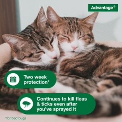 Bundle: Advantage II Topical & Home & Yard Flea & Tick Spray for Cats + Household Spot & Crevice Spray