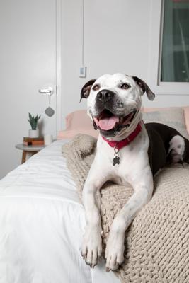 Travelcube Sound Machine