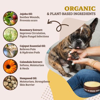 Bundle: Winter Paw Protection Starter Kit - Safe Paw Ice Melt, Natural Dog Company Paw Balm, Bark Brite Dog Boots, Large