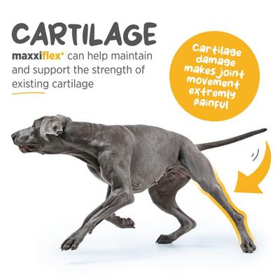 maxxiflex+ Dog Joint Supplement, 120 tablets