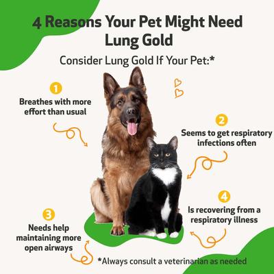 Lung GOLD Bacon Flavored Liquid Respiratory Supplement for Dogs & Cats, 4-oz bottle