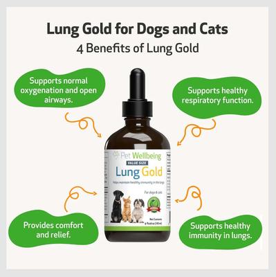 Lung GOLD Bacon Flavored Liquid Respiratory Supplement for Dogs & Cats, 4-oz bottle