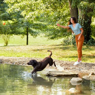 Grain-Free Salmon, Sweet Potato & Pumpkin Recipe Dry Dog Food, 34-lb bag