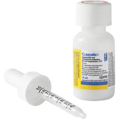 Polvo para suspensión oral de amoxicilina/clavulanato de potasio para perros y gatos, 62,5 mg/ml, 15 ml