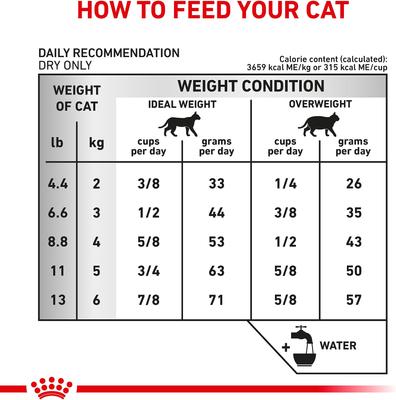 Adult Urinary SO Dry Cat Food, 17.6-lb bag