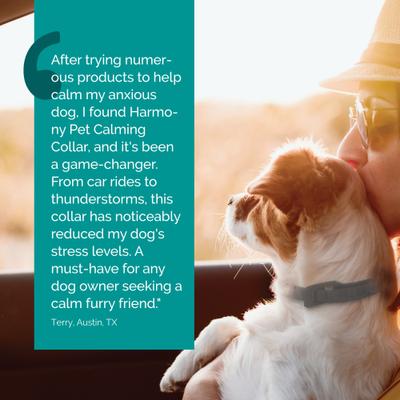 Harmony Pet Calming Collar for Dogs