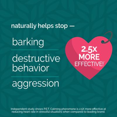 Harmony Pet Calming Collar for Dogs