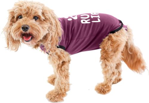 Recovery Suit Post-Surgery Dog Onesie, Maroon, X-Small