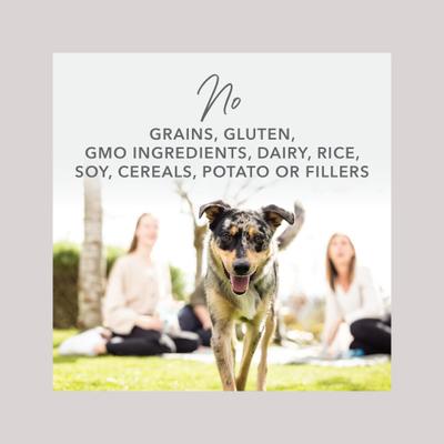 Beef Feast Freeze-Dried Dog Food Topper, 5-oz bag