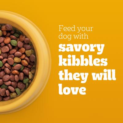 Bundle: Dog Food & Treats Starter Pack - Pedigree Steak & Vegetable Dry Food, Beef & Chicken Canned Food, Beef Dental Treats