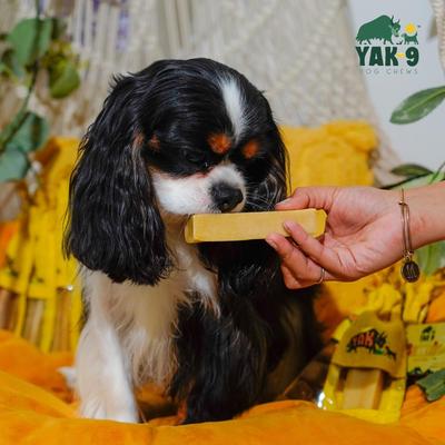 Golosinas masticables para perros Honey Yak, 4 unidades, tamaño pequeño