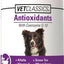 Antioxidants with Coenzyme Q-10 Chewable Tablets Dog Supplement, 120 count