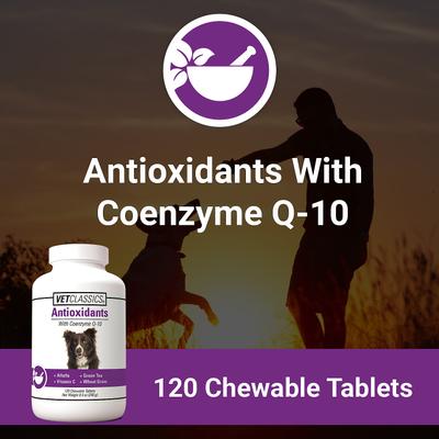 Antioxidants with Coenzyme Q-10 Chewable Tablets Dog Supplement, 120 count