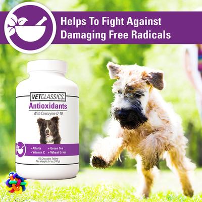 Antioxidants with Coenzyme Q-10 Chewable Tablets Dog Supplement, 120 count